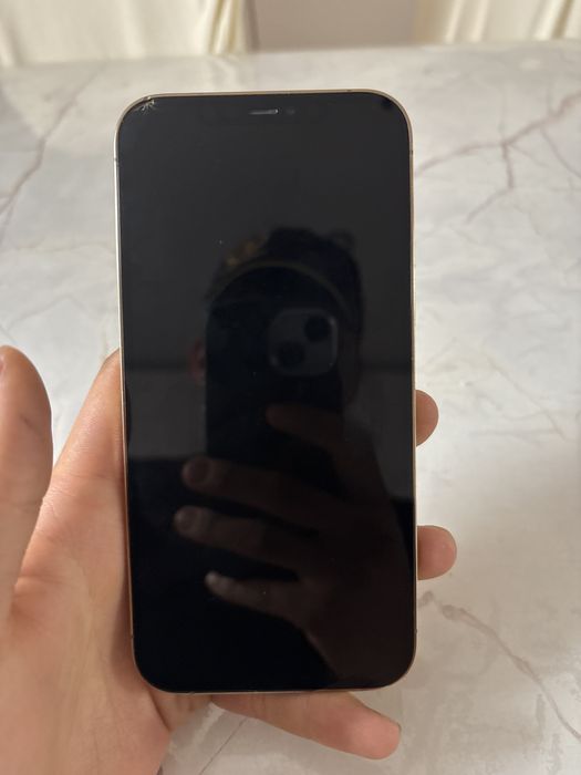 iphonr 12 pro max