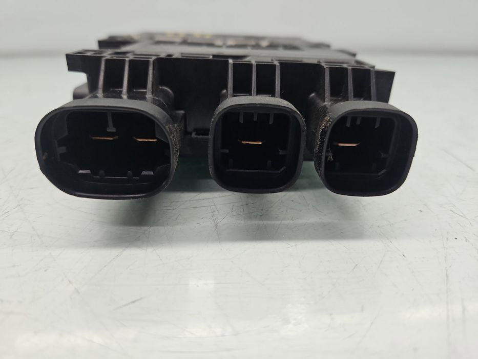 Panou sigurante Renault Scenic 3 [Fabr 2009-2015] 243800011R