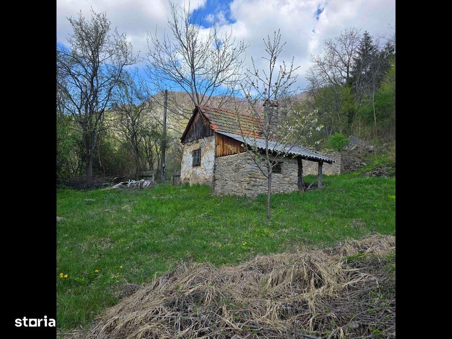 Teren de vis caută proprietar.