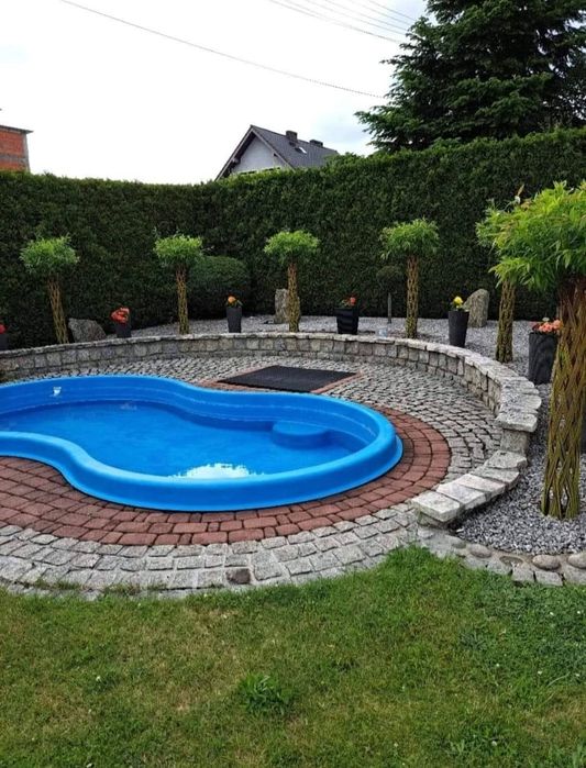 Salix America 180 cm de la ghiveci de in sus