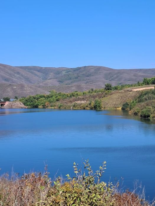 Продам дачу в заливе Иртыша