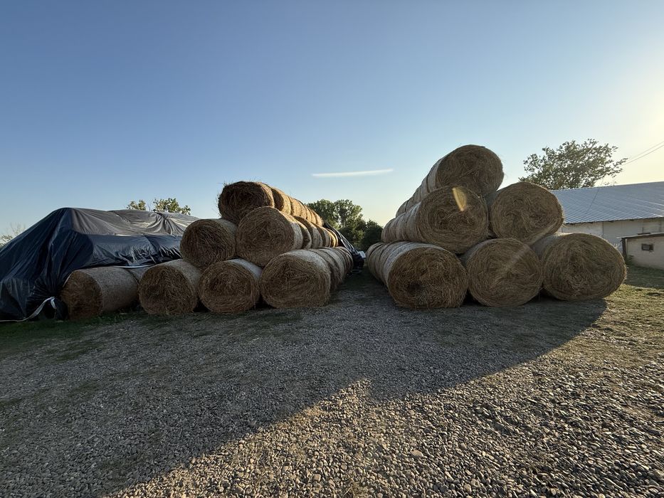 Baloti rotunzi mari lucerna