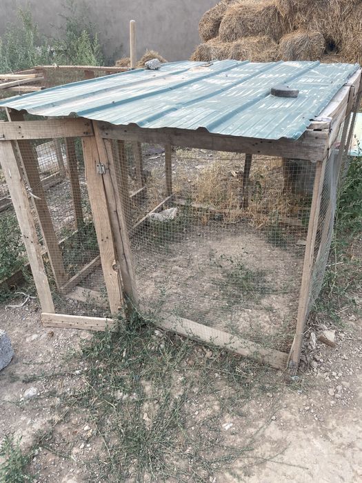 Тауық, балапан салатын сетка