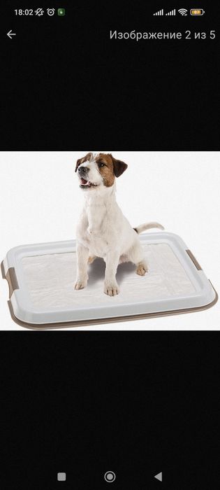 лоток для животных