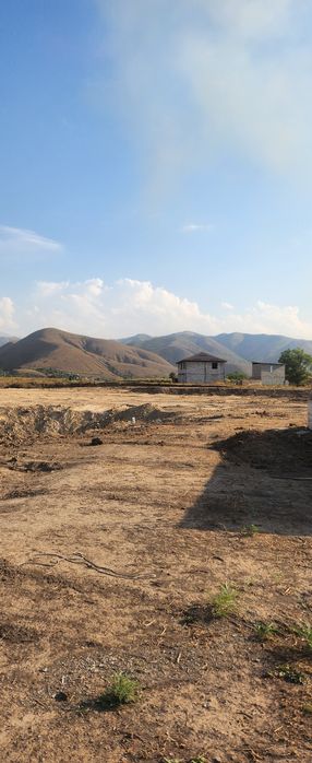 Долан лпх рассрочка