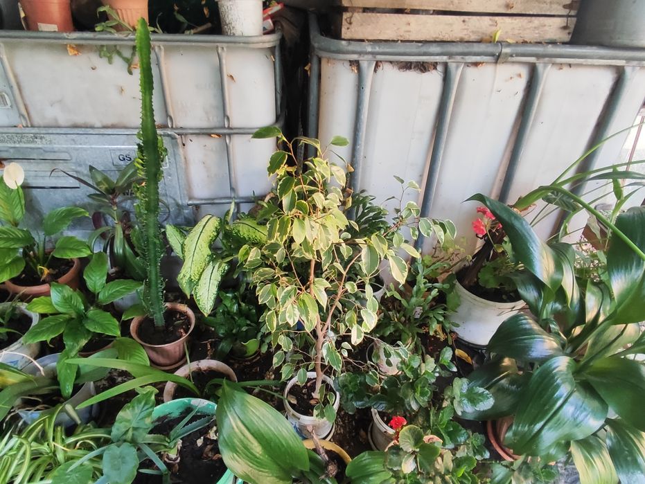 Прода бочки 1000 литров