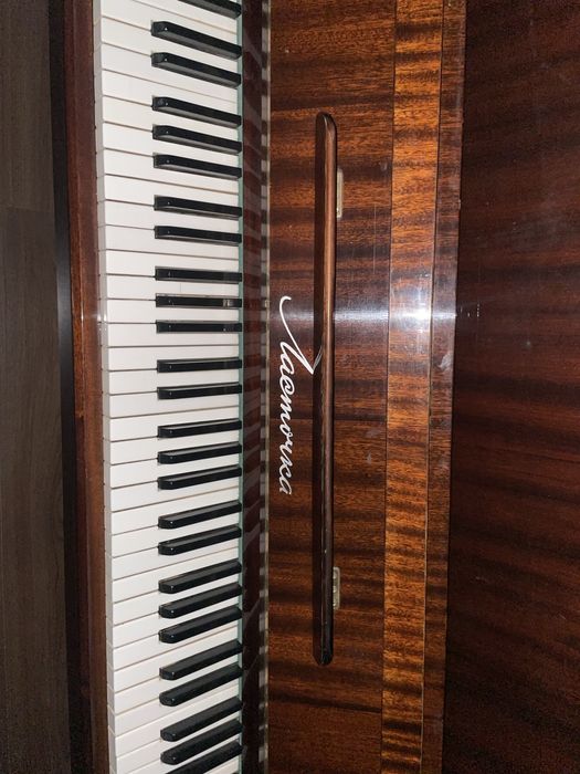 Фортепиано ласточка