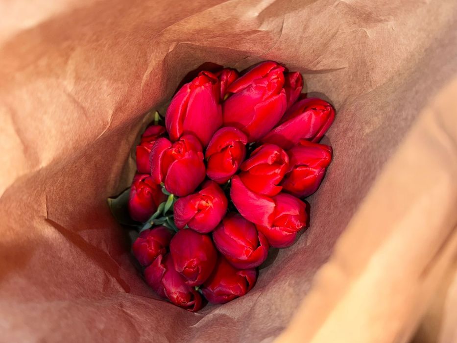 Тюльпаны свежие большие с доставкой