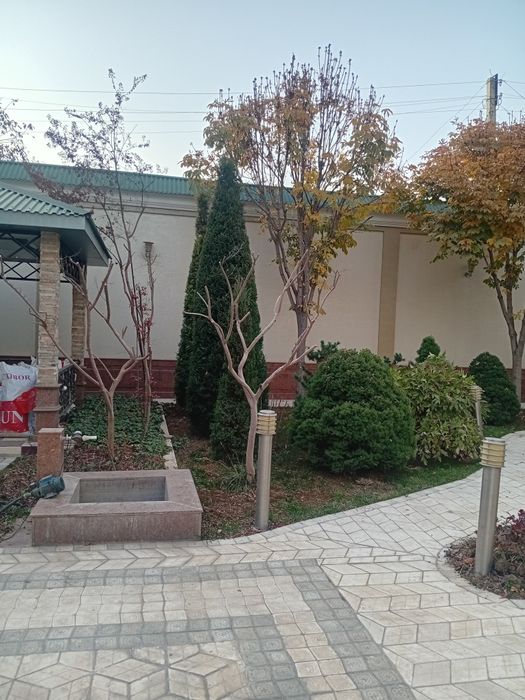 Мутахассис богбон хизмати