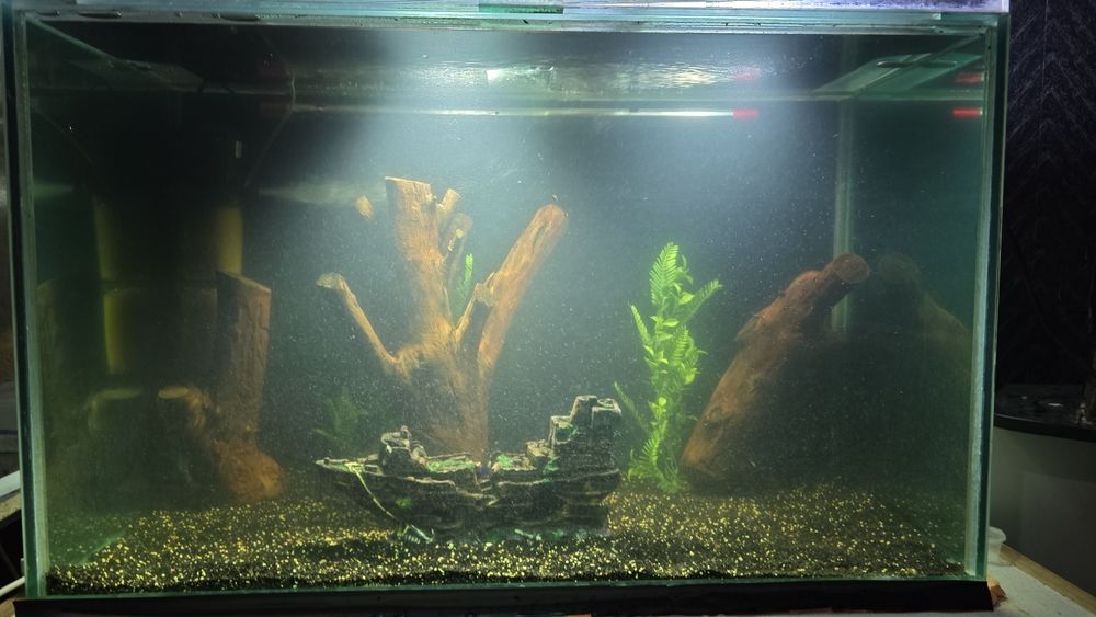 Акваруим на 320л