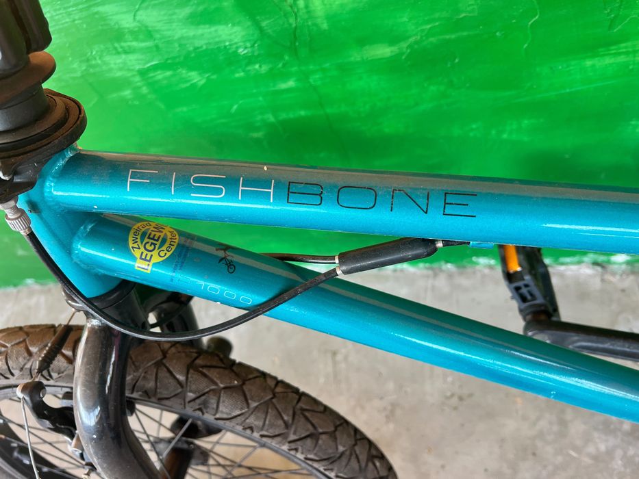 BMX FishBone P1000
