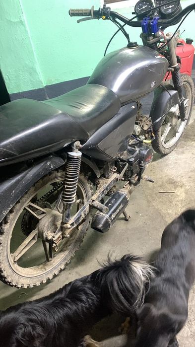 Продам альфу 2022