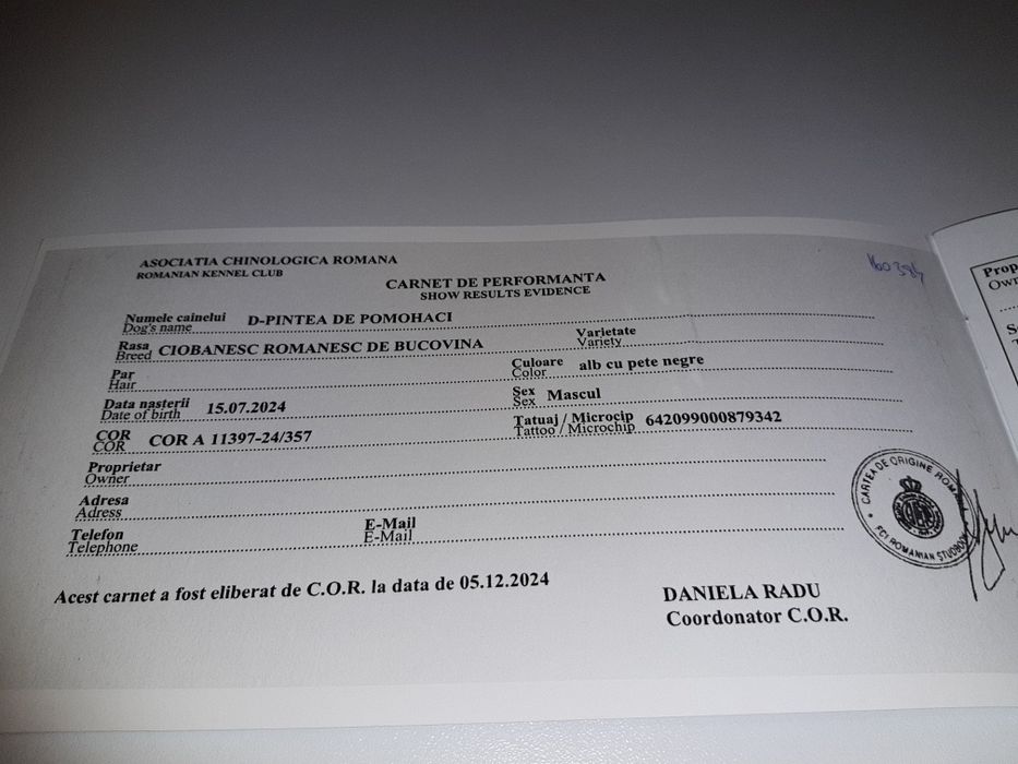 Ciobănești de Bucovina