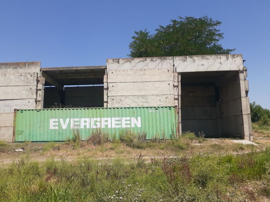 Ферма Тошкент вилояти Чиноз туман