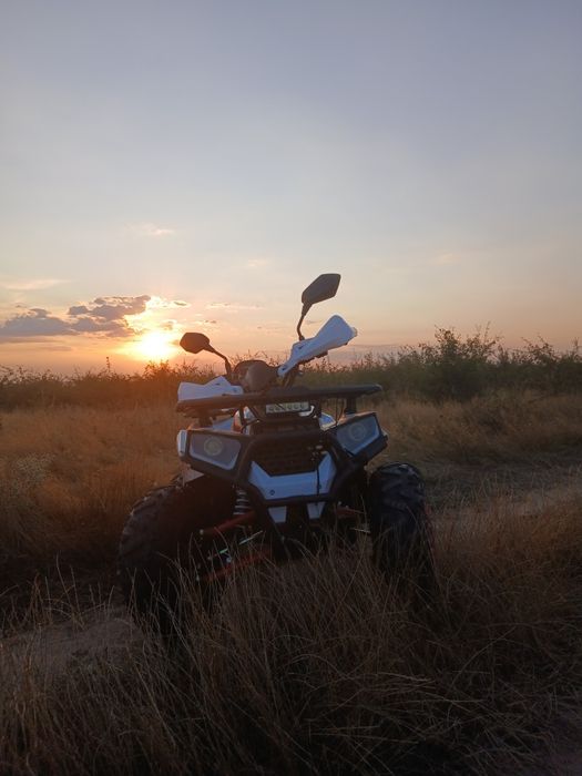 Vând RDB AY125cc