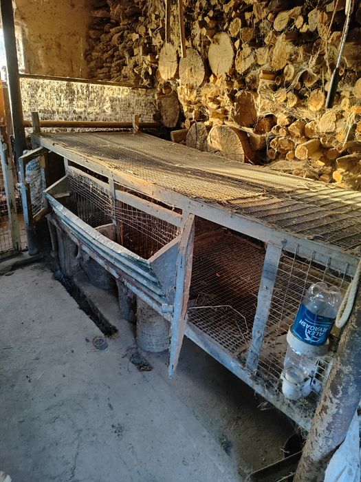 Клетки для содержания кроликов.