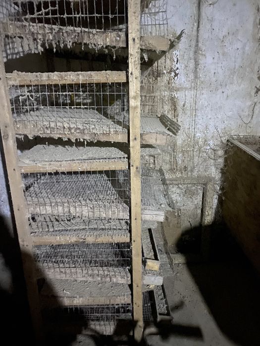 Клетки для перепелов