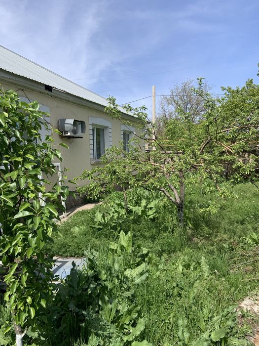 Үй, магазин, Балықхана Сатылады