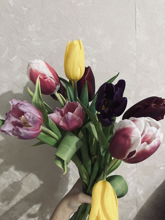 Продвм тюльпаны 2500