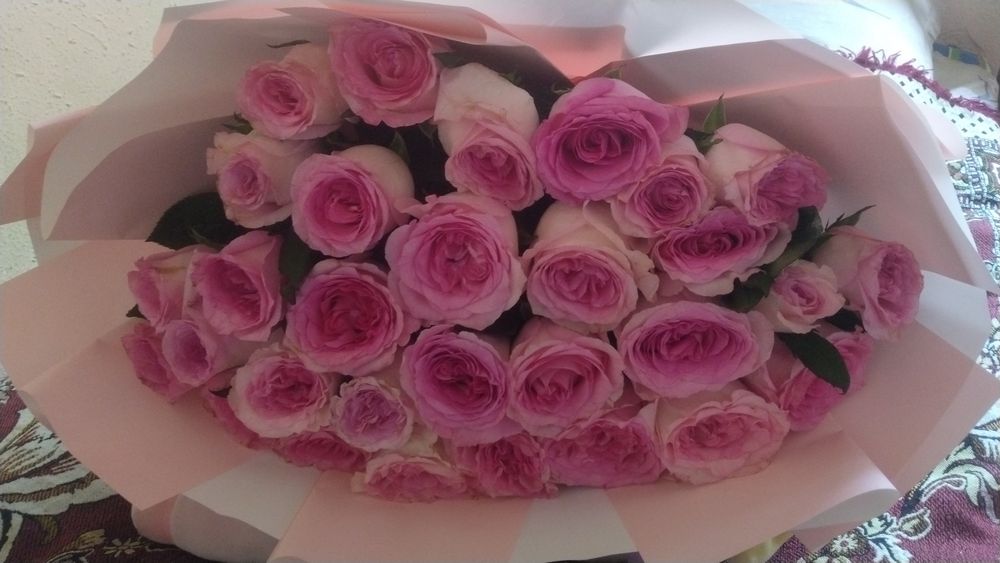 Новый қазір келді