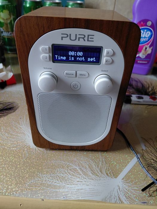 Vind radio Pure evoke d2