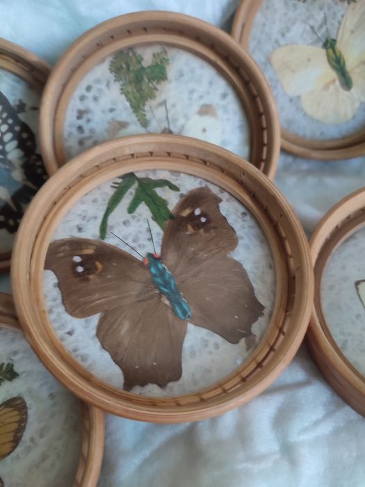 Пеперуди в рамка подложки за чаши