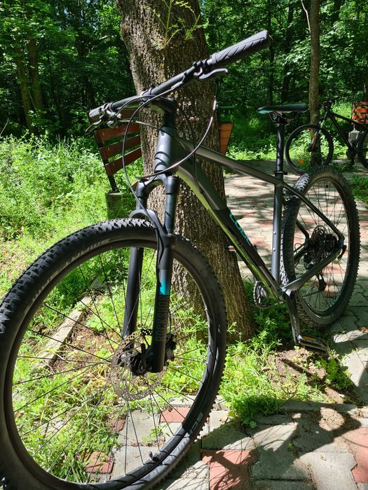 Cube Acid grey 2021 (L)