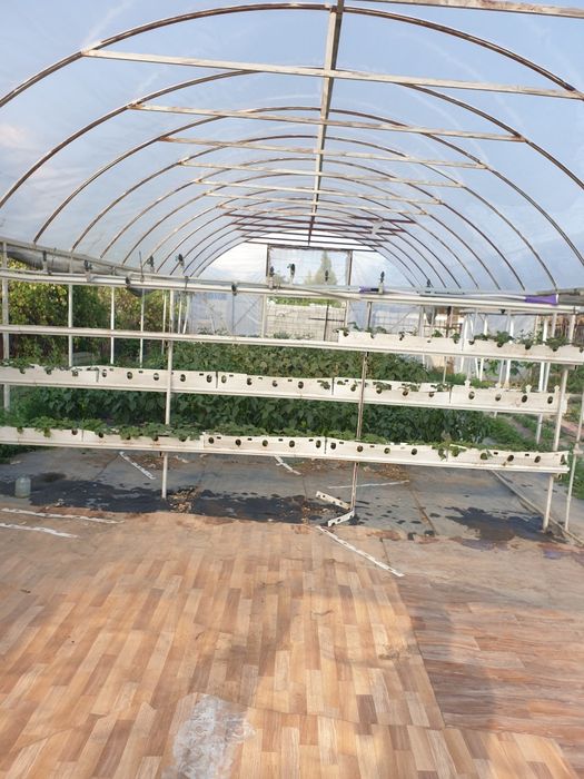 Теплица в комплекте