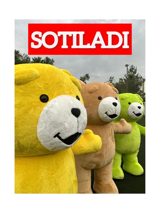 Ayiqlar,медведи, ayu. (100 variant bor)