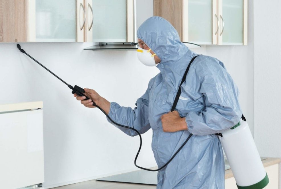 Дезинфекция от клопов тараканов, блох. Результат 100%. Гарантия! Тараз