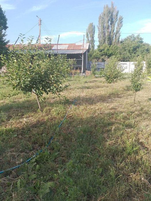 Yer sotiladi Jumabozor Kursay qishlogida srochna oladiganla bosa