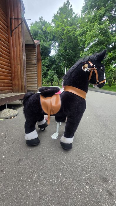 Vand căluț ponycycle