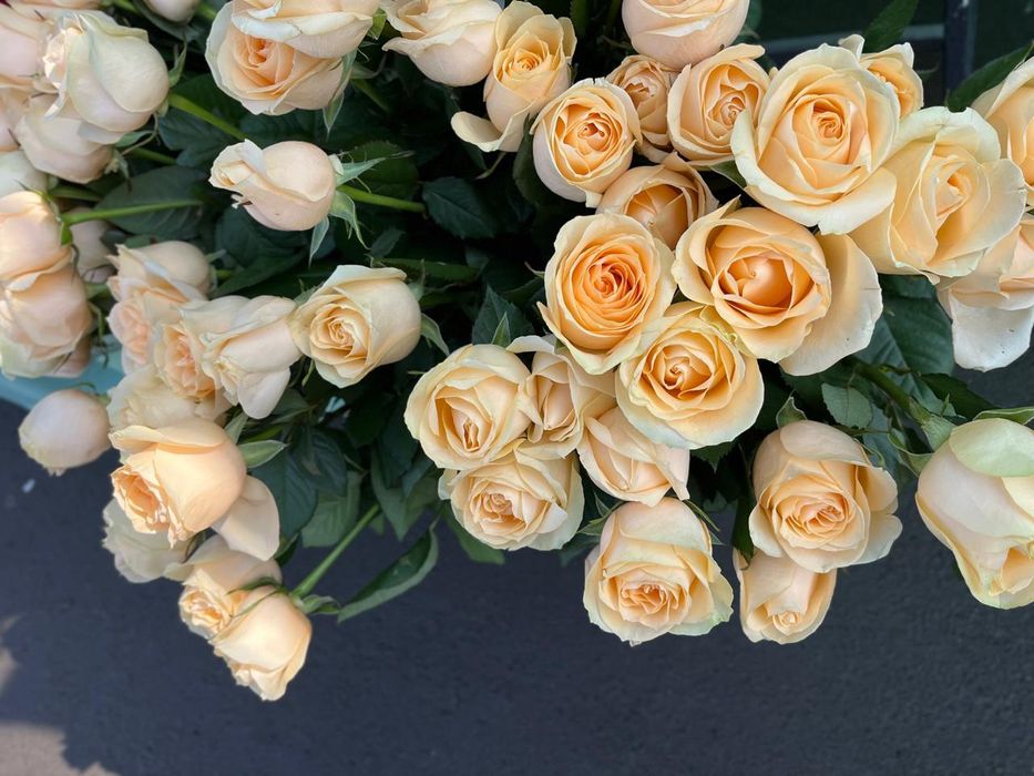 Тюльпаны 8 марта