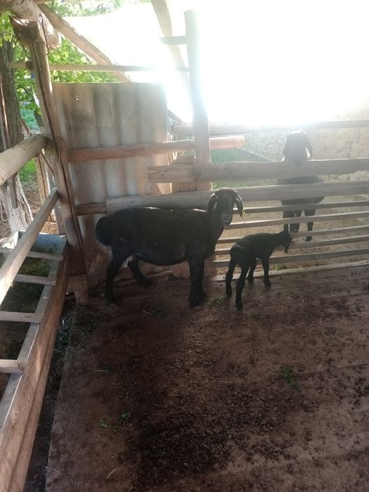 140.000 тенге#₽₽₽₽