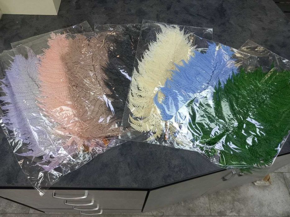 Искусственный мох и Растения