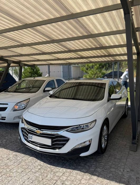 Malibu Premier  srochna