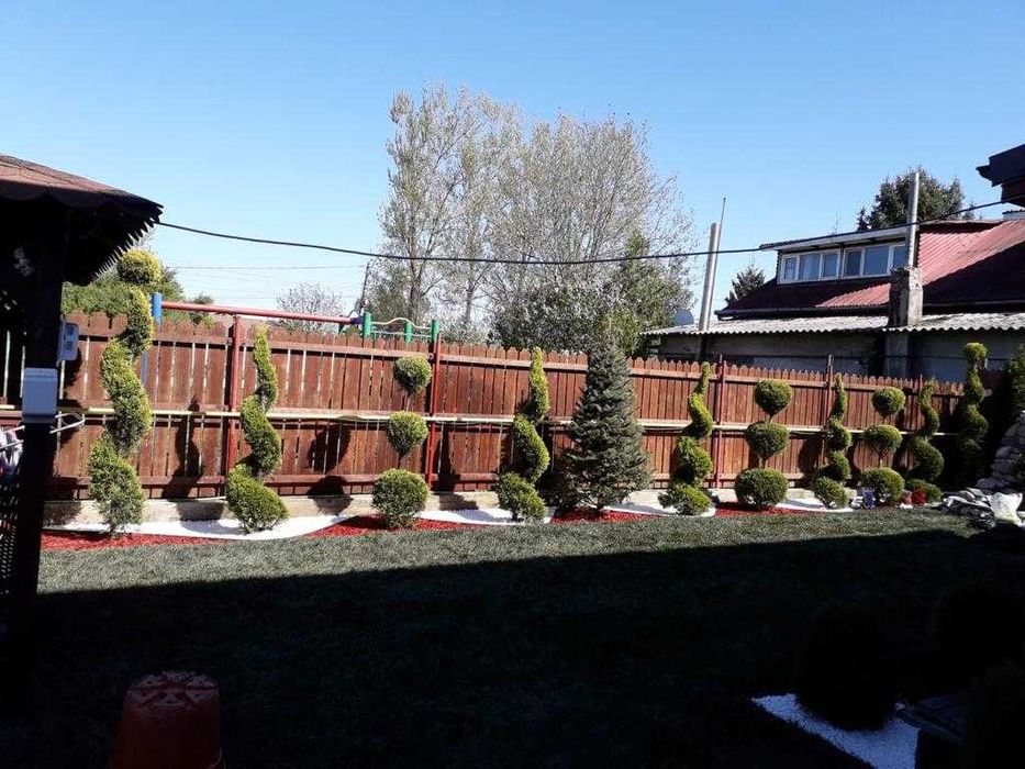 Soluții Verzi de Pepinieră – Plante Ornamentale și Montaj Rapid