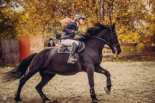 Ot minish mashg'uloti уроки верховая езда