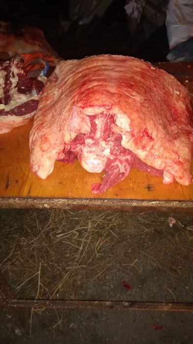 Говядины, семіз ет достовка