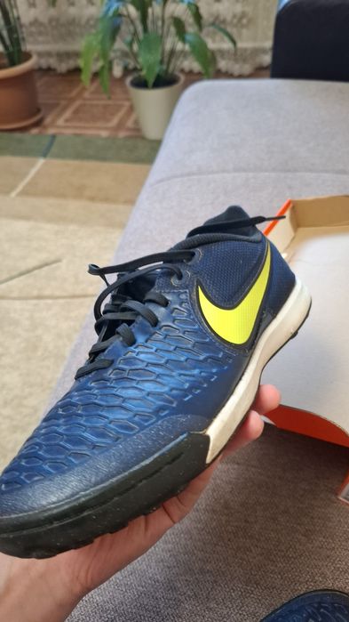 Сороконожки Magistax pro tf