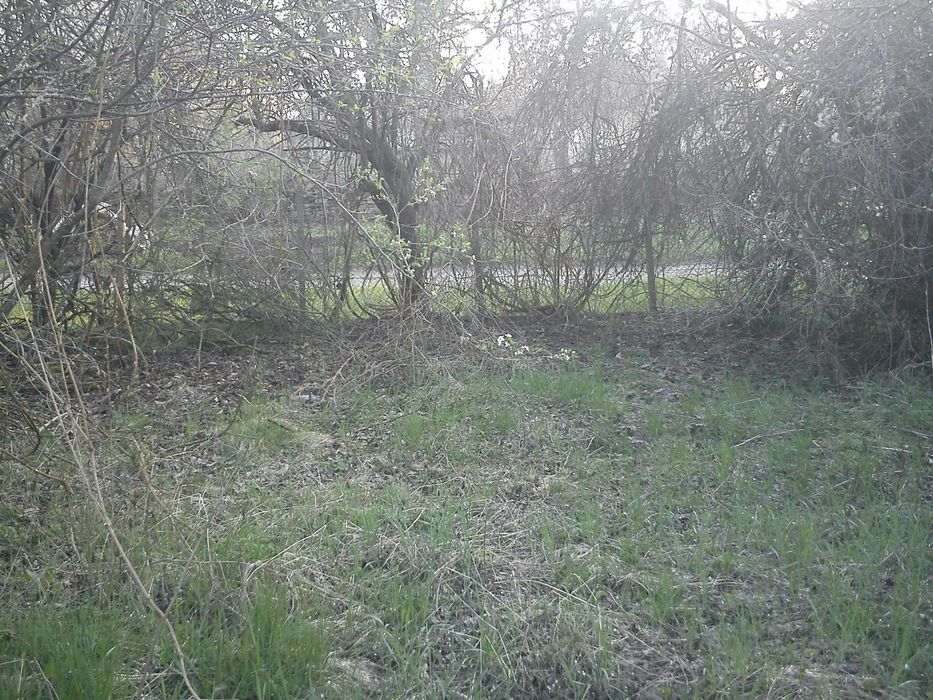 Продава се Парцел в Велико Търново, Бузлуджа - 500 кв.м за 15 €/кв.м - Снимка #9