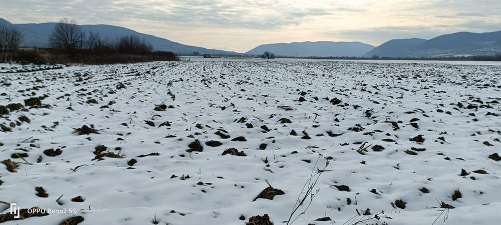 Vând  teren în extravilan situat lânga parc industrial . Last minute !