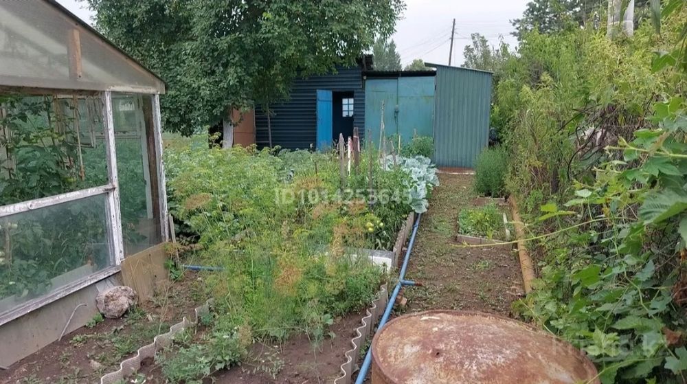 Дача 7 соток продам срочно!