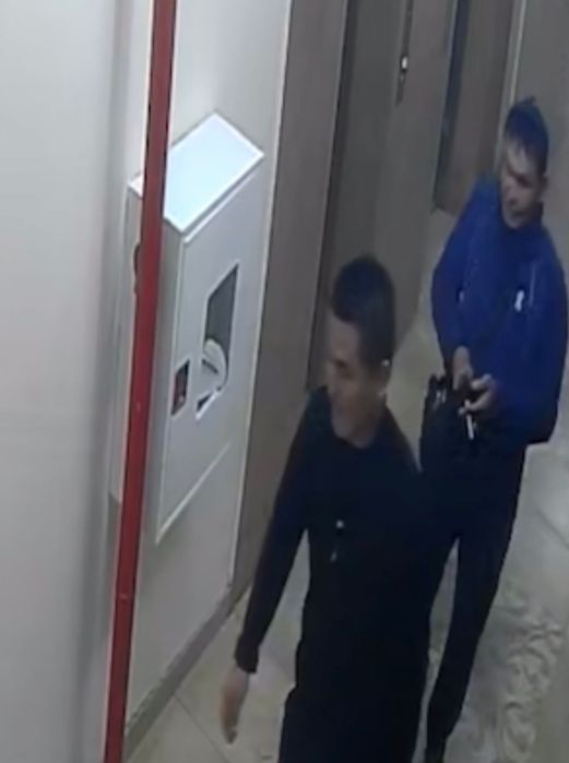 Продам денежное дерево
