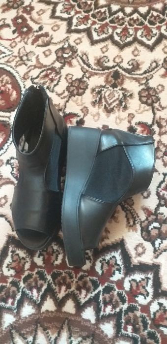 Бахорги ва кузги Басаножка