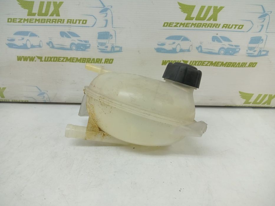 Vas expansiune antigel 1.5 dci k9k6d6 217107259r Dacia Duster 1 [2010