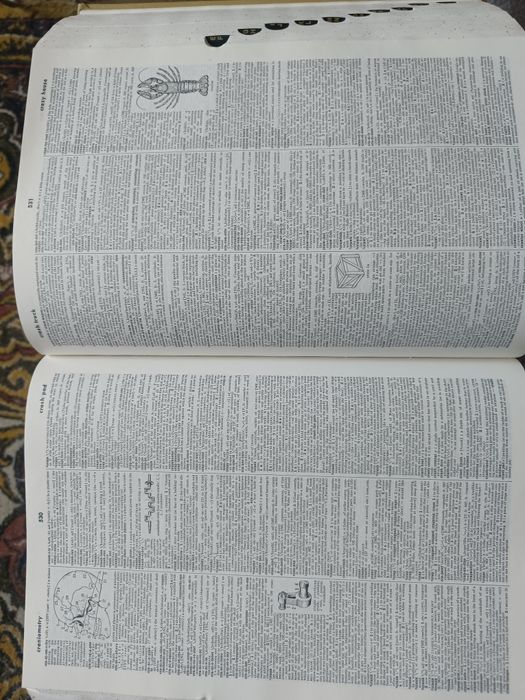 Webster's Third New Internat Dictionary