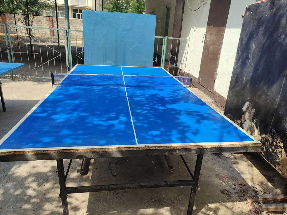 Tennis stollar bor