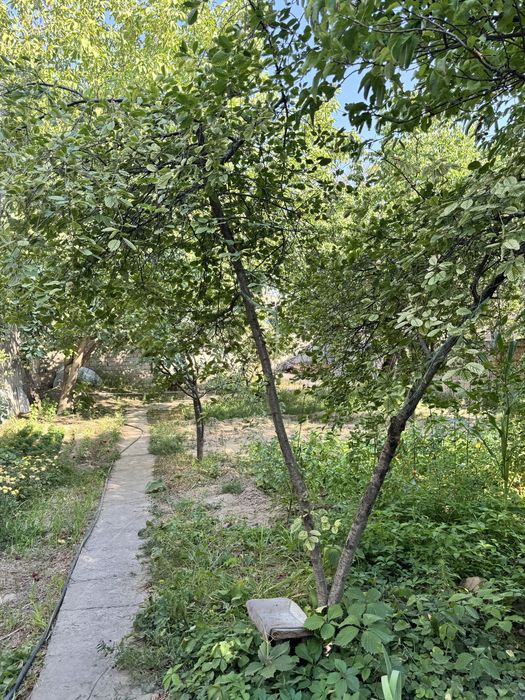 Паркентский 12сотих 2та махалага караган