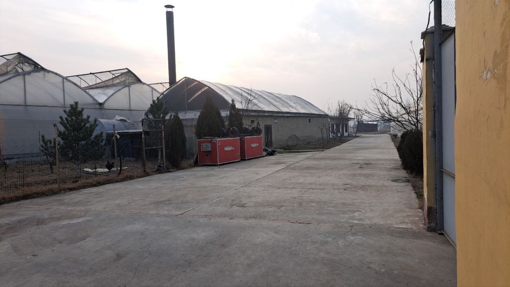 Теплица 2 Гектар ижарага берамиз ёки сотилади 5 йилда булиб тулаш